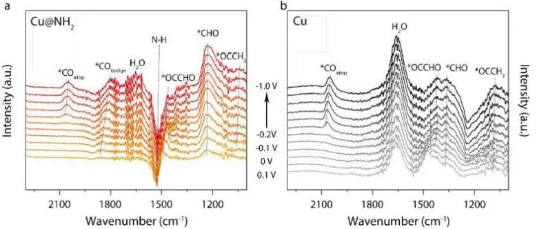 ​港城大/中科大ACS Catalysis：铜电催化CO还原为醋酸盐性能差，不妨试试氨基功能化策略！