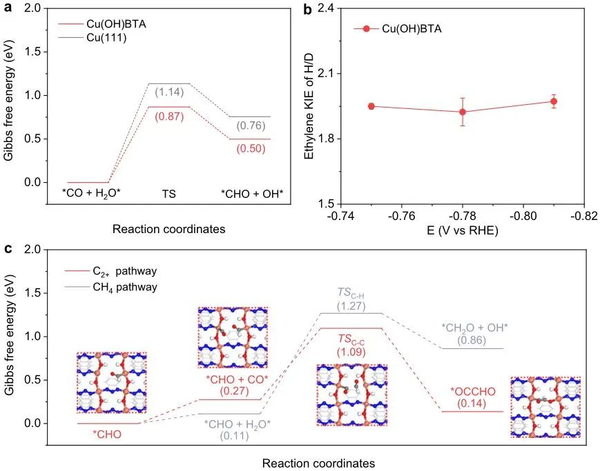 ​计算+实验顶刊：Nature子刊、AFM、AEM、Small、ACS Catalysis等成果精选！