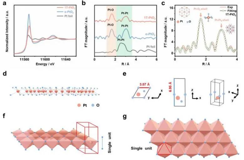 催化顶刊集锦：Nature子刊、JACS、EES、AM、AFM、Nano Letters等成果