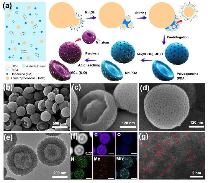 催化顶刊集锦：JACS、Angew.、AM、AEM、Adv. Sci.、Small等成果集锦！