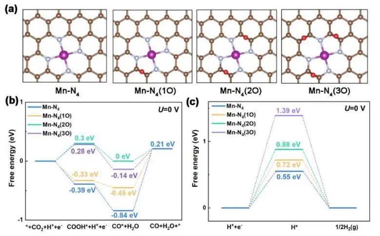 催化顶刊集锦：JACS、Angew.、AM、AEM、Adv. Sci.、Small等成果集锦！