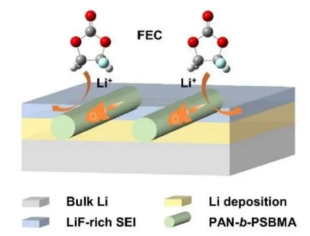 黄佳琦/张学强EnSM：调节锂金属电池中的聚合物-溶剂相互作用实现氟化固体电解质界面