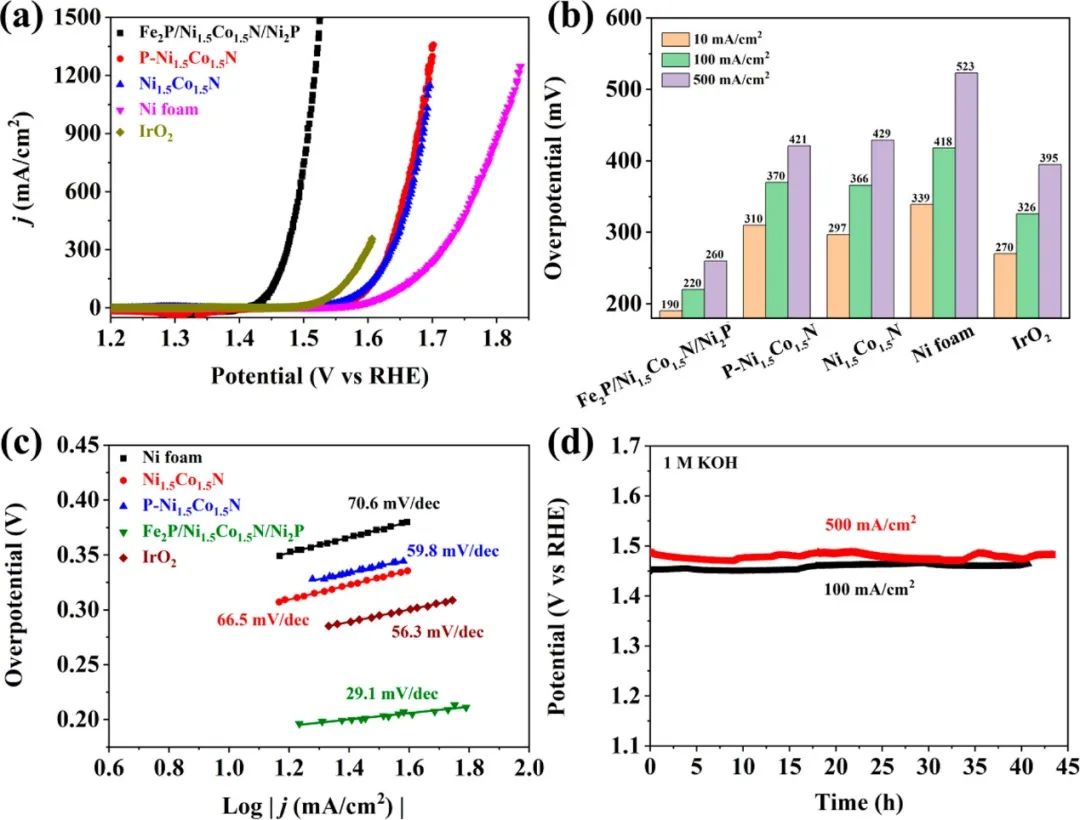 催化顶刊集锦：AFM、JACS、Adv. Sci.、ACS Nano、JMCA、CEJ等成果