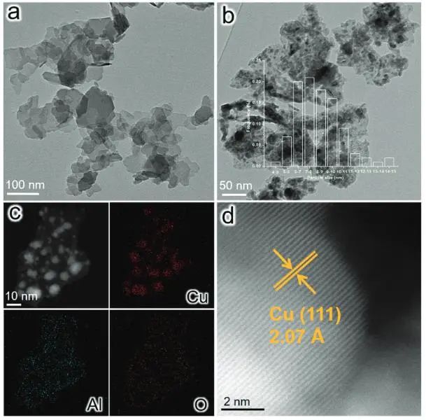 催化顶刊集锦：JACS、Nat. Commun.、AFM、ACS Catal.、Adv. Sci.、Small等