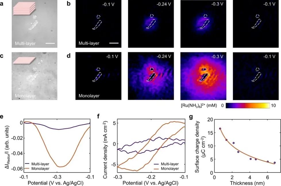 ​中科大刘贤伟Nature子刊：2D催化剂层依赖性电催化活性的等离子体成像