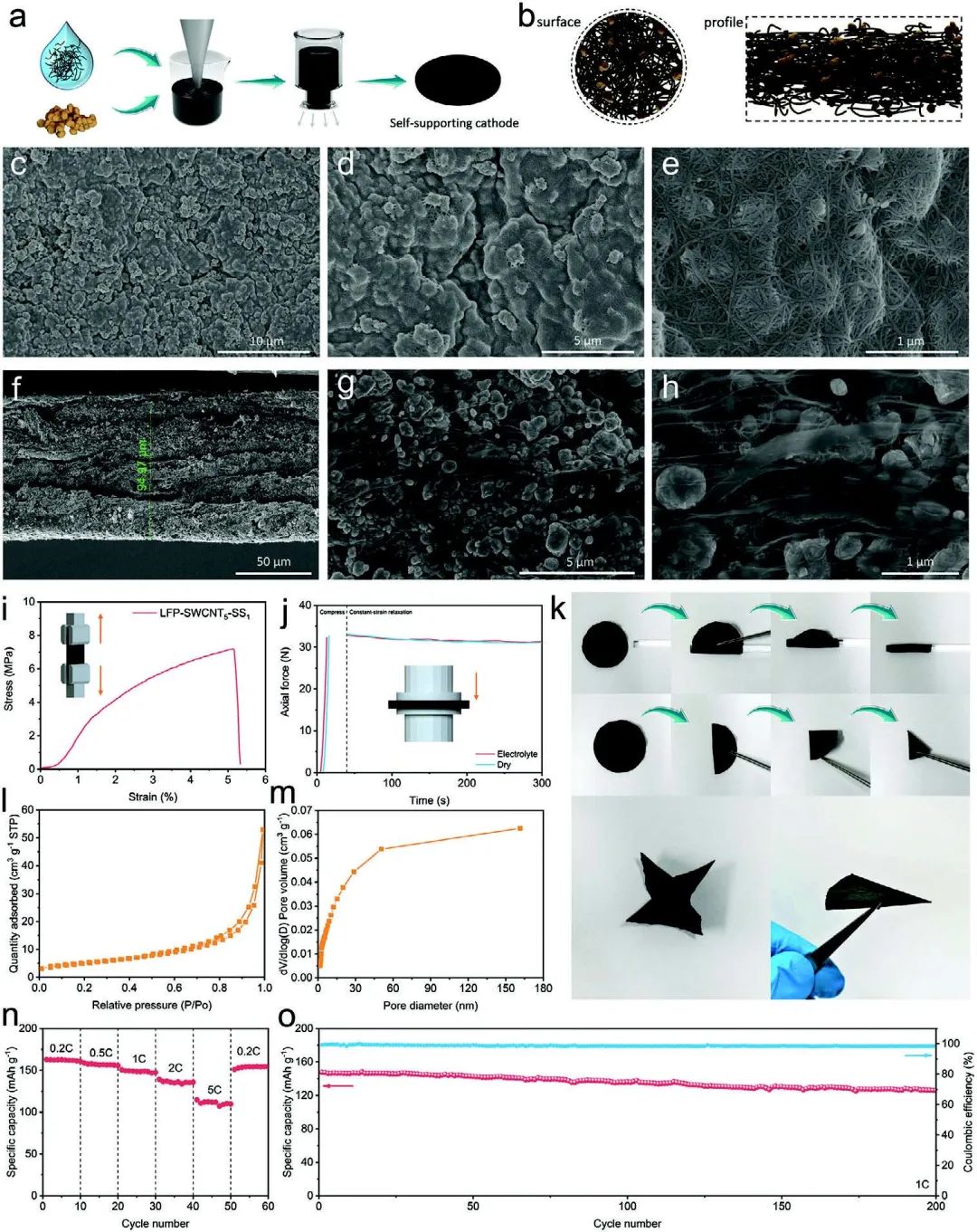 电池顶刊速递：Nature子刊、AM、EES、AFM、Adv. Sci.、EnSM、ACS Nano等成果！