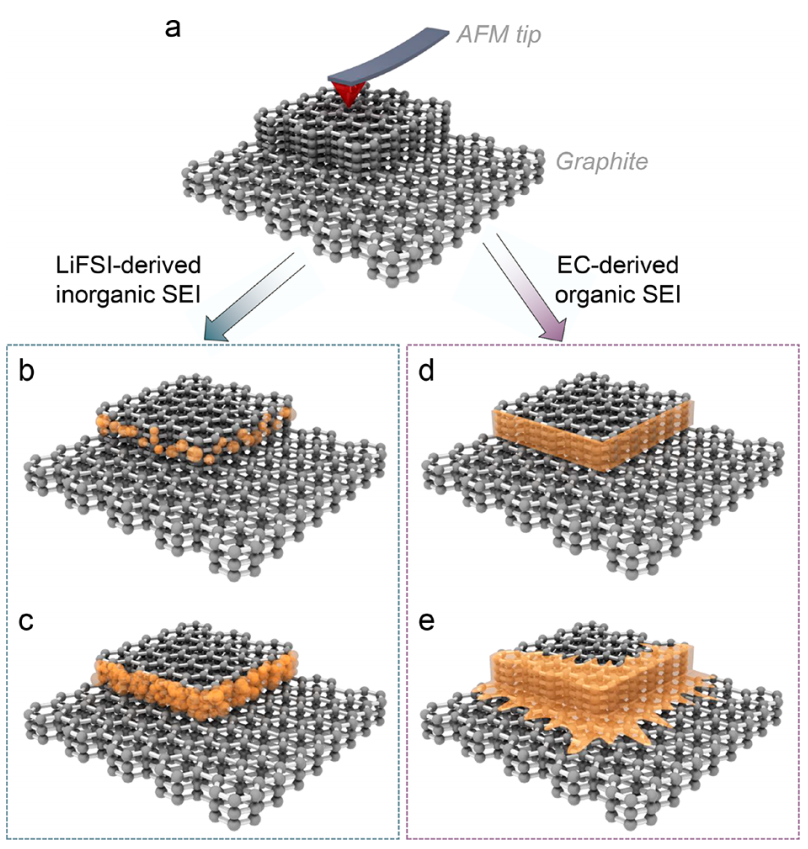 张强教授，最新JACS！