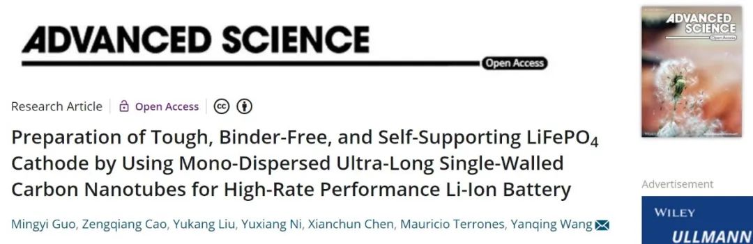 四川大学王延青Adv. Sci.：利用单分散超长单壁碳纳米管制备自支撑LiFePO4正极