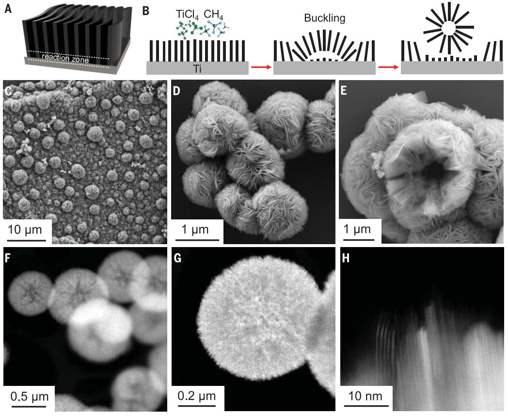 材料合成革命！锂电池登顶Science封面！