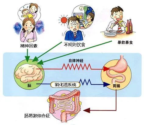 连发2篇Science吐槽科研压力大！喝瓶红牛继续肝，身体崩溃送急诊！​