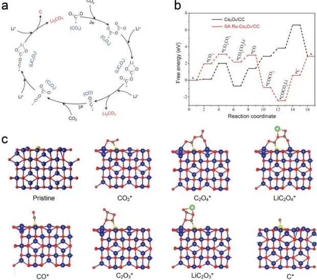 8篇催化顶刊：Angew.、AFM、 ACS Catal.、Adv. Sci.等最新成果