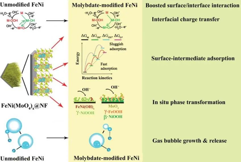 新南威尔士赵川AFM: 协同的钼酸盐改性促进FeNi基催化剂OER活性
