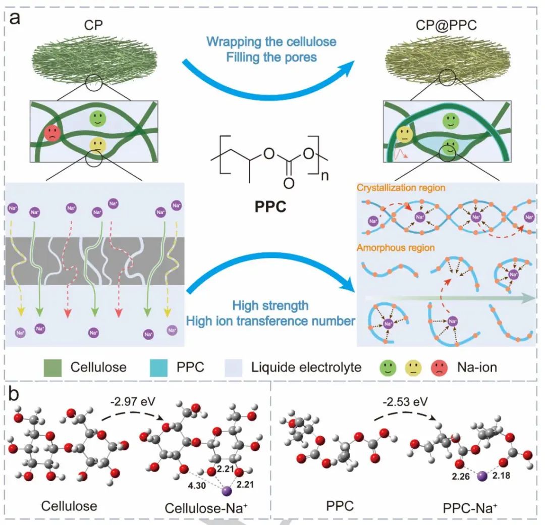 ​东北师大吴兴隆Angew.：高性能钠离子电池用纤维素基复合隔膜及其“孔隙-跳跃”离子传输机制