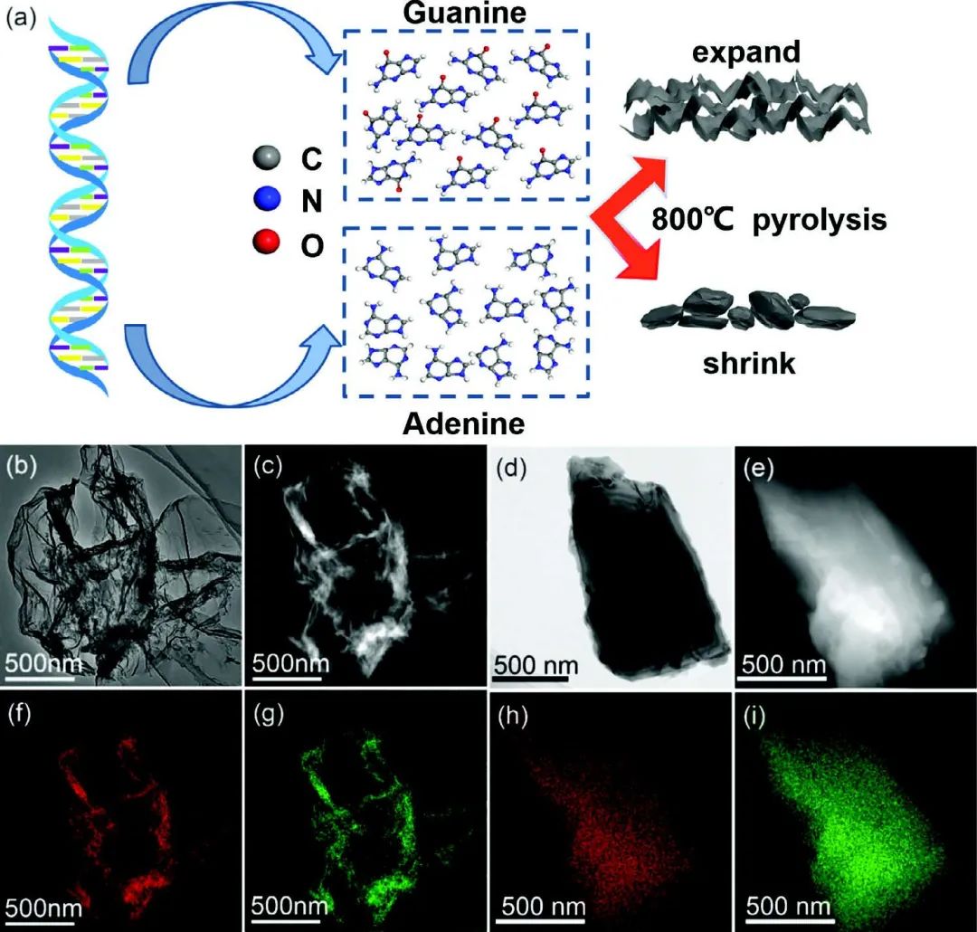 8篇电池顶刊集锦：Nature子刊、JACS、Angew.、Adv. Sci.、AFM、EnSM等最新成果！