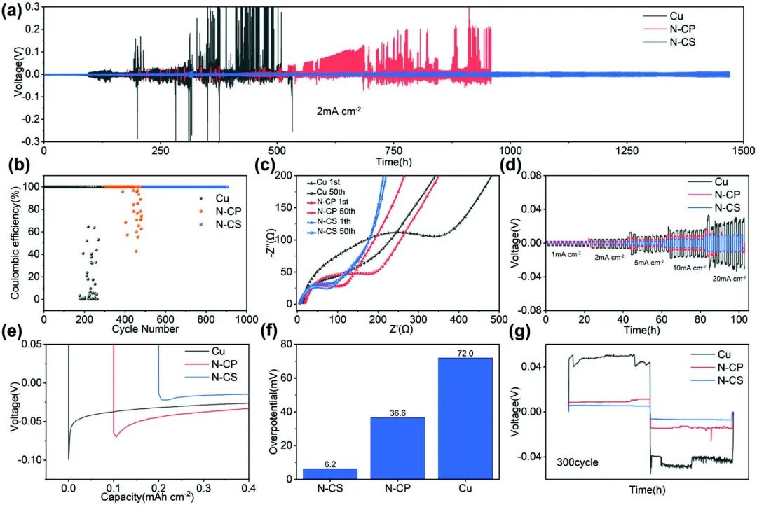 8篇电池顶刊集锦：Nature子刊、JACS、Angew.、Adv. Sci.、AFM、EnSM等最新成果！