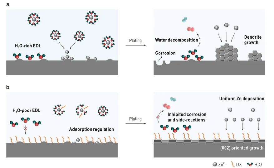 电池顶刊集锦：Nature子刊、Angew、EES、AFM、ACS Energy Lett.、ACS Nano等成果！