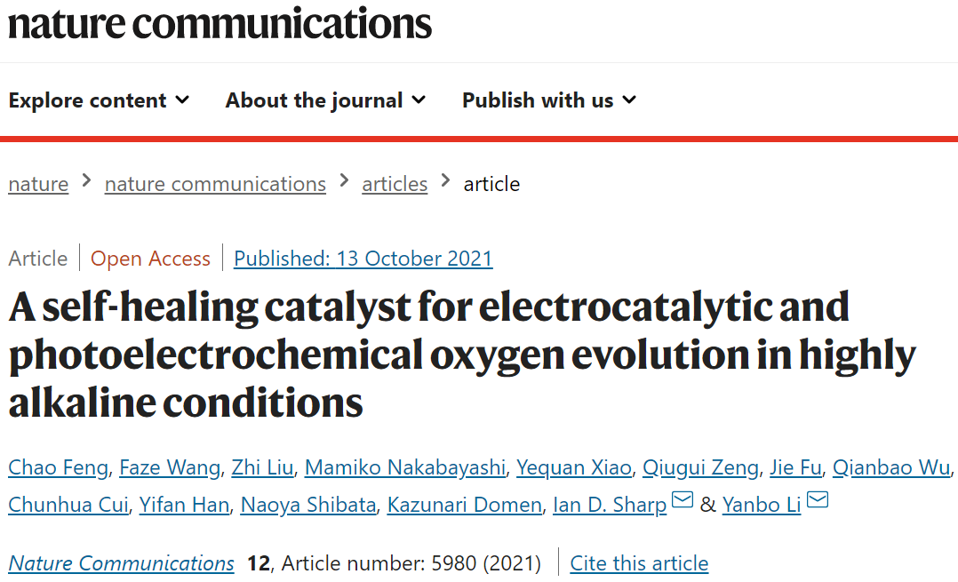 Nature子刊：强碱性条件下电催化和光电化学OER的自修复催化剂