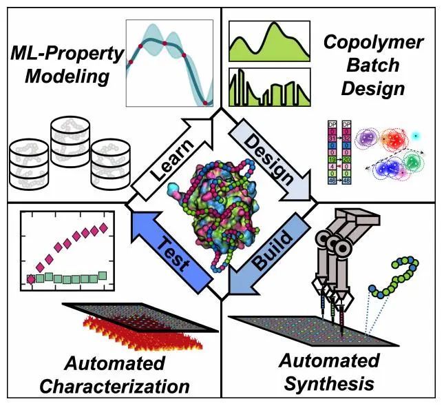 罗格斯大学/普林斯顿AM：自动化合成+机器学习设计聚合物-蛋白质杂化物