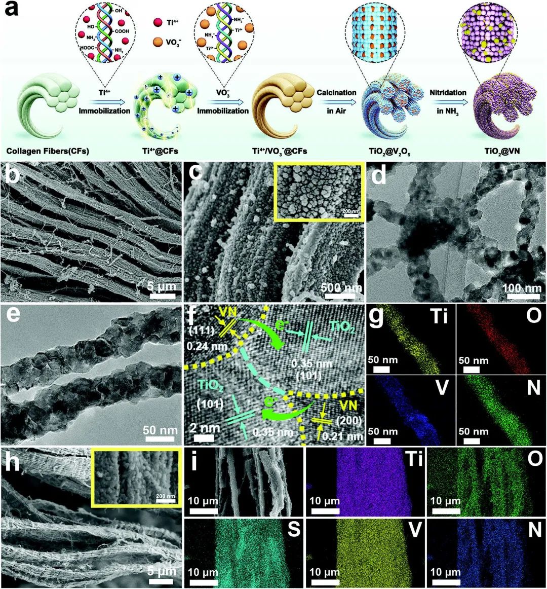 川大吴昊等Adv. Sci.：双功能无碳异质结构宿主实现562 Wh/kg锂硫电池!