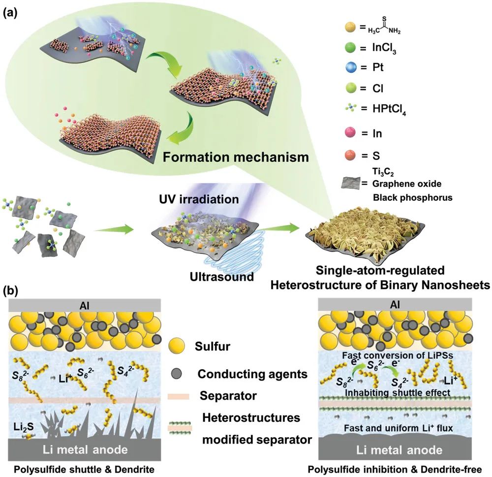 郭守武/李明AFM: 二元纳米片异质结构实现无枝晶/动力学增强的锂硫电池