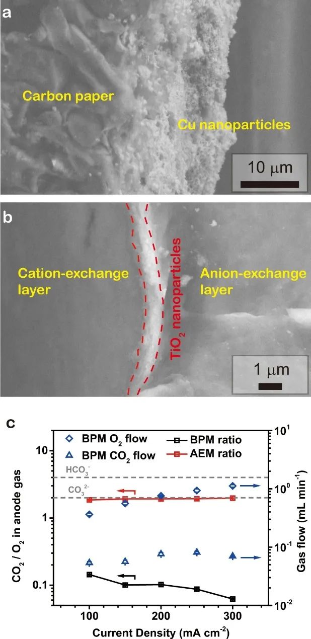 继Nature Catalysis之后，该院士团队再发Nature子刊！