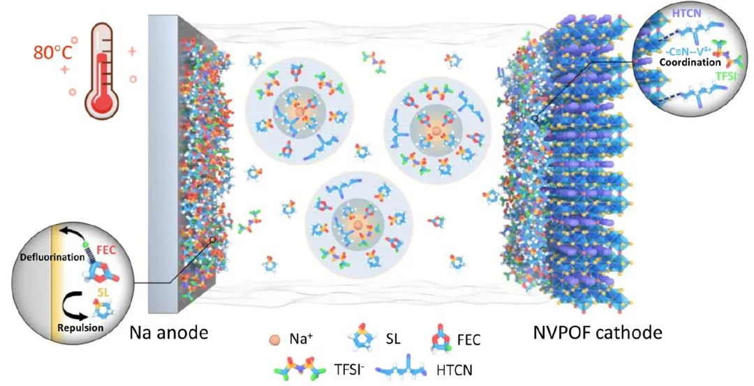 黄云辉/罗巍ACS Energy Lett.：电解液设计实现可80℃下运行的钠金属电池！