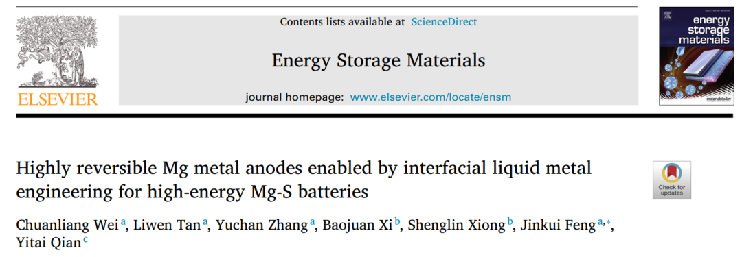 山大冯金奎EnSM: 界面液态金属工程实现Mg-S电池的高可逆Mg负极
