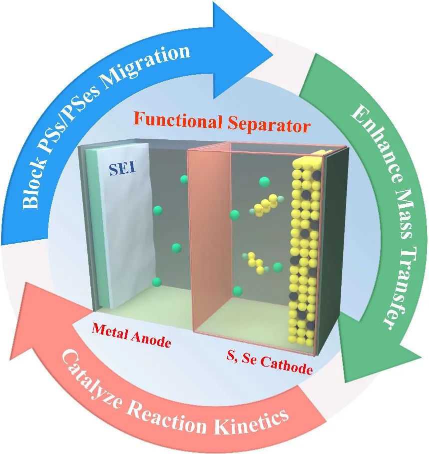引文552篇！一文看尽用于稳定碱金属-硫/硒电池电极的多功能隔膜！