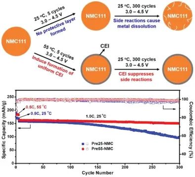 南洋理工陈晓东Small Methods: 热定制CEI界面实现NMC正极的高压运行