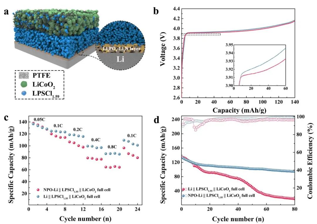 浙大涂江平/王秀丽Nano Energy：协同磷化工艺稳定锂-硫化物电解质界面