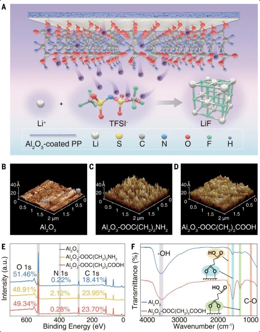 浙工大陶新永/NTU楼雄文Science：构筑LiF界面，实现锂金属电池突破