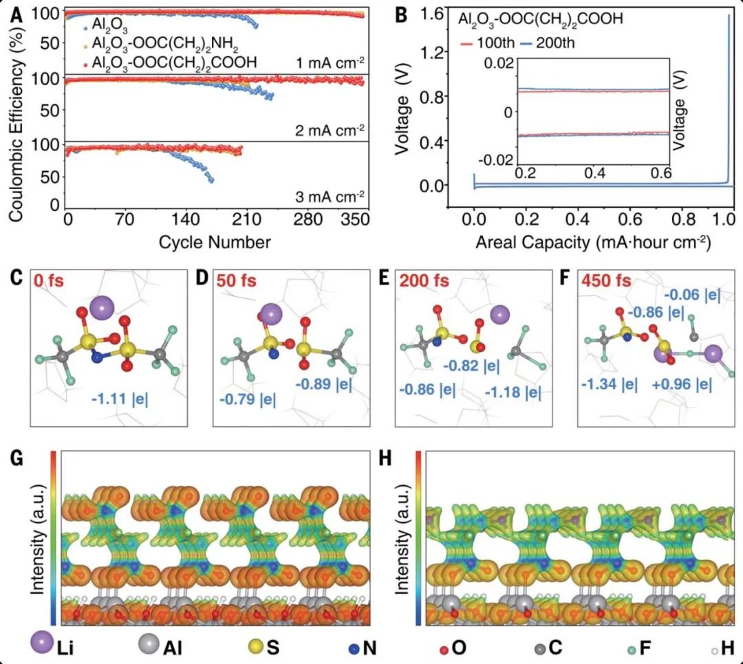 浙工大陶新永/NTU楼雄文Science：构筑LiF界面，实现锂金属电池突破