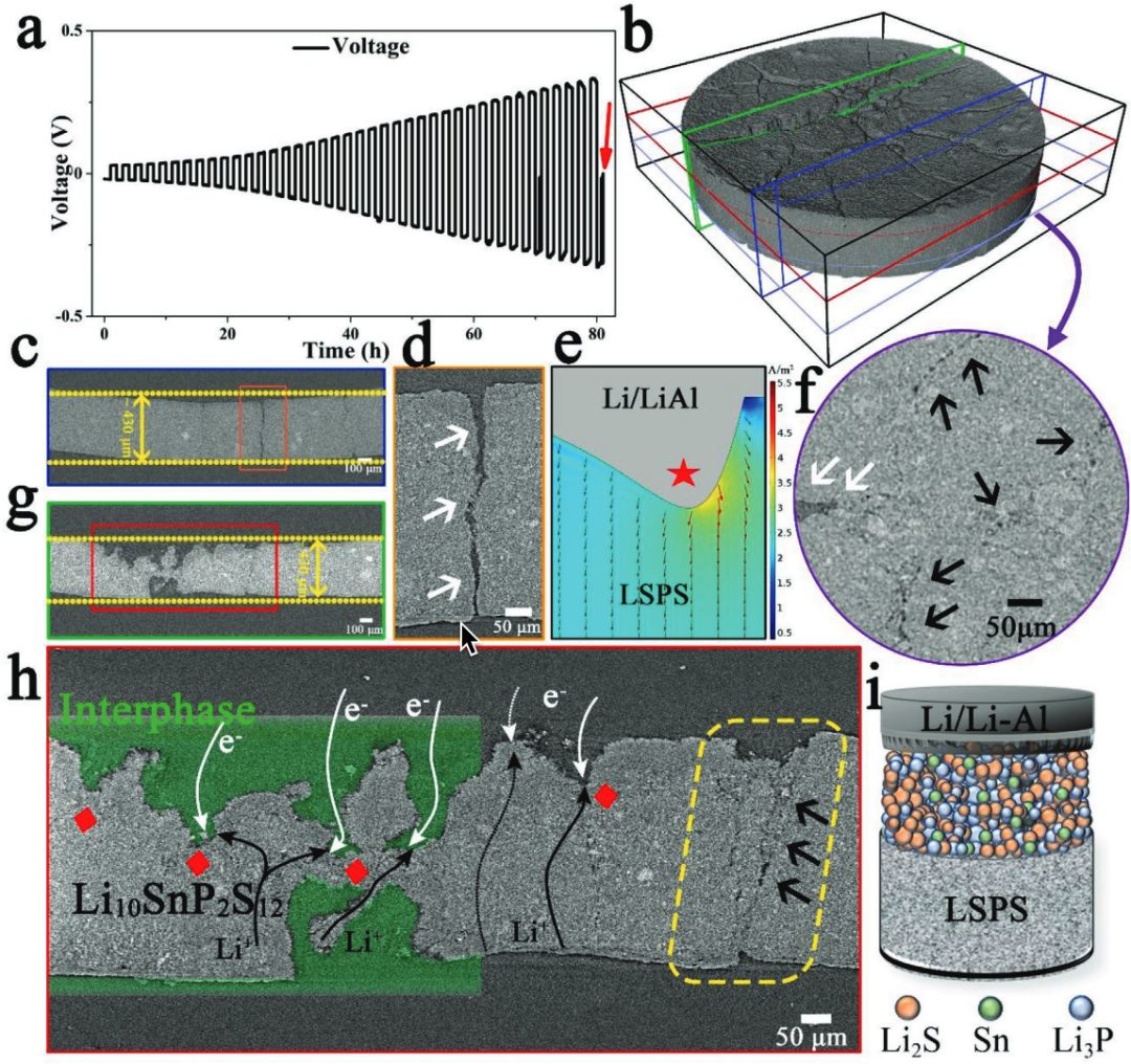 崔光磊/董杉木等AEM：多种手段厘清全固态电池中的电-化学-机械的耦合