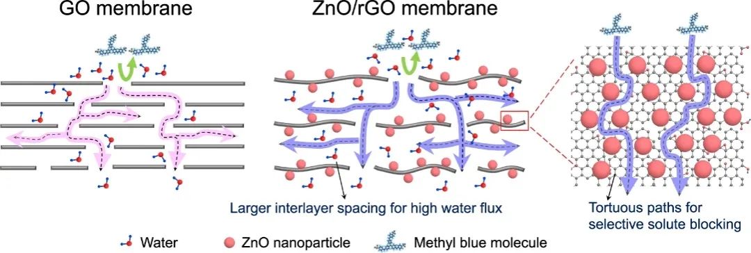 龙东辉&牛波Nature子刊：选择性98%、通用策略！rGO基纳米复合材料助力纳滤膜