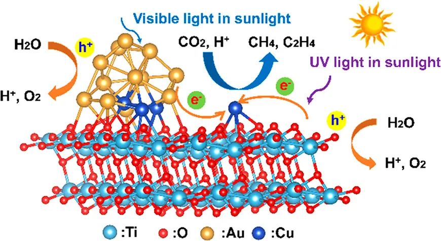 电子科大董帆ACS Nano：创纪录！Cu SAs和Au-Cu合金NPs协同助力TiO2高效CO2光还原