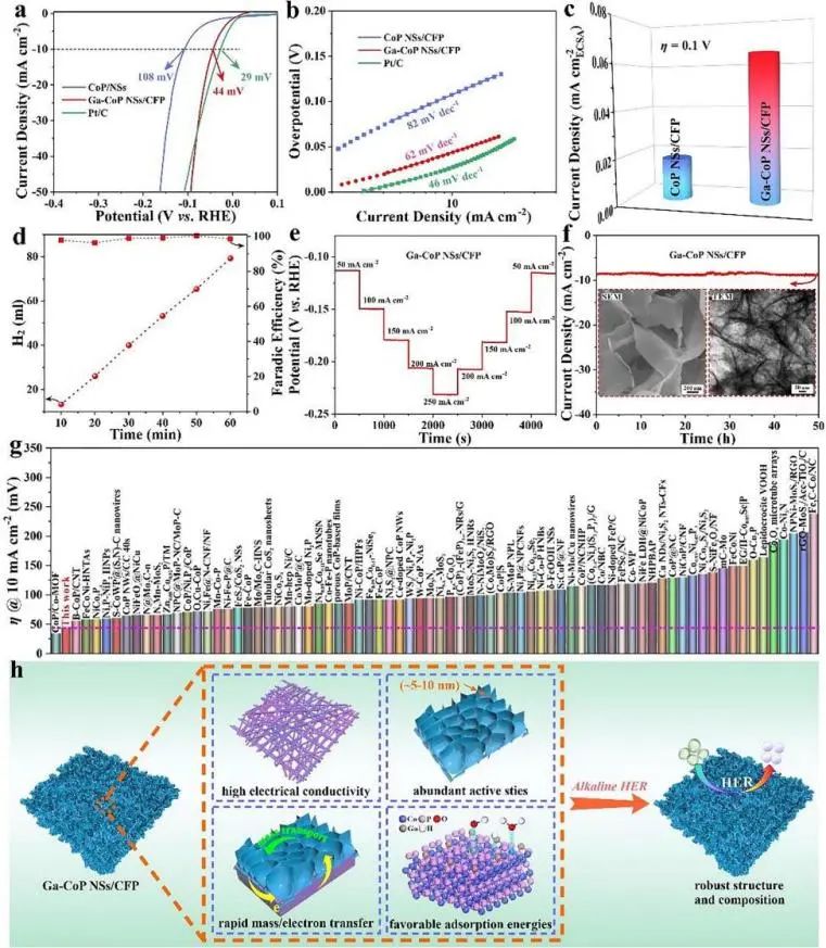 杨春成/宰世锋Chem. Eng. J.: Ga掺杂CoP用于碱性条件下高效电催化HER