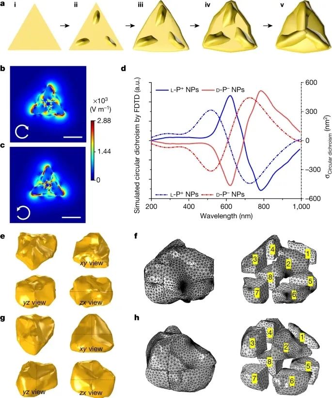 历史性突破！江南大学最新Nature！