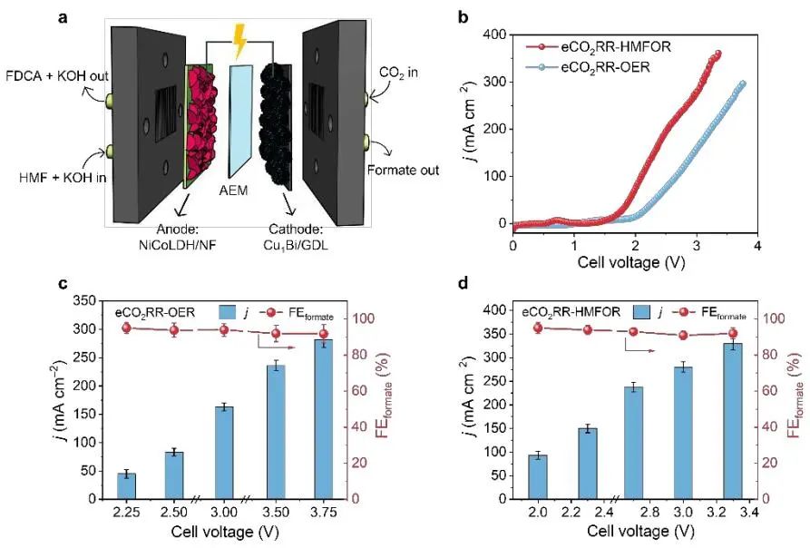 三天两篇顶刊！骆静利院士团队，连发EES和ACS Catalysis！