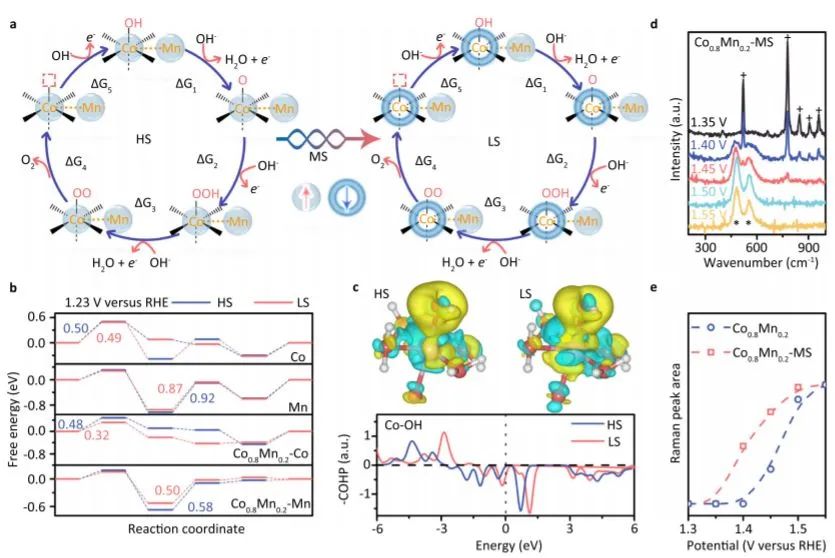 催化顶刊集锦：Nature子刊、JACS、ACS Catal.、ACS Nano、Nano Energy等成果