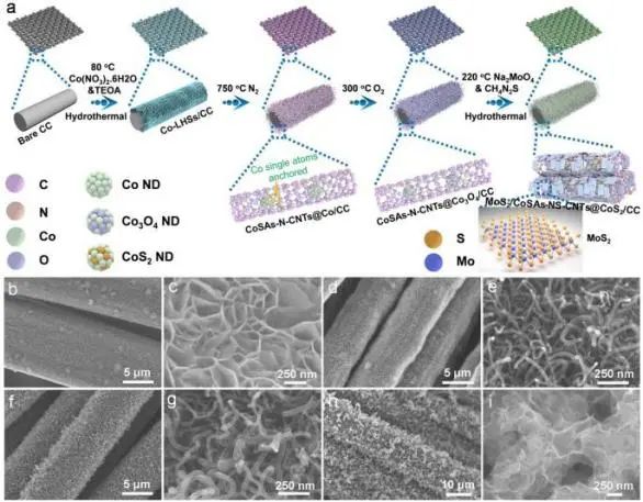 南开/内大Appl. Catal. B.: 二硫化钼/单钴原子的杂化异质结锚定氮、硫掺杂碳纳米管/二硫化钴用于高效析氢