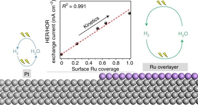 邵敏华教授Nature Catalysis：Ru-Pt催化HOR/HER的新机制