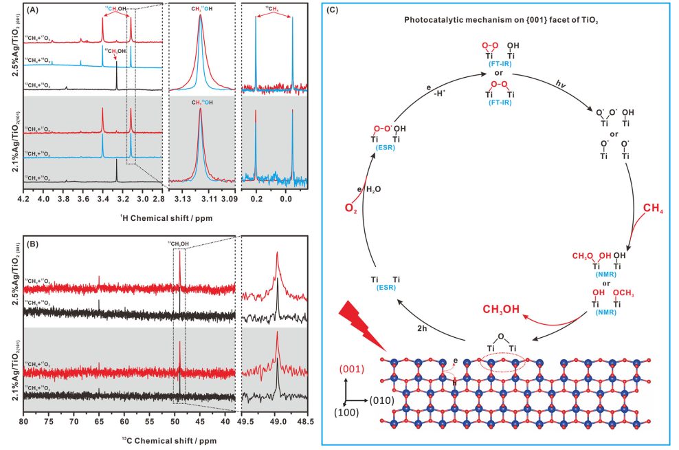 厉害！刚发JACS，又来一篇Nature子刊！