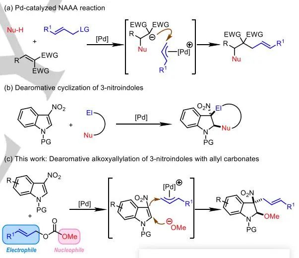 游书力Angew.：Pd催化3-硝基吲哚与碳酸烯丙酯的脱芳甲氧基烯丙基化反应