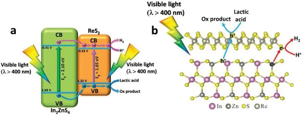 乔世璋Small：首次！提高近23倍！可见光下2D/2D ReS2/In2ZnS4 vdWH高效光催化析氢
