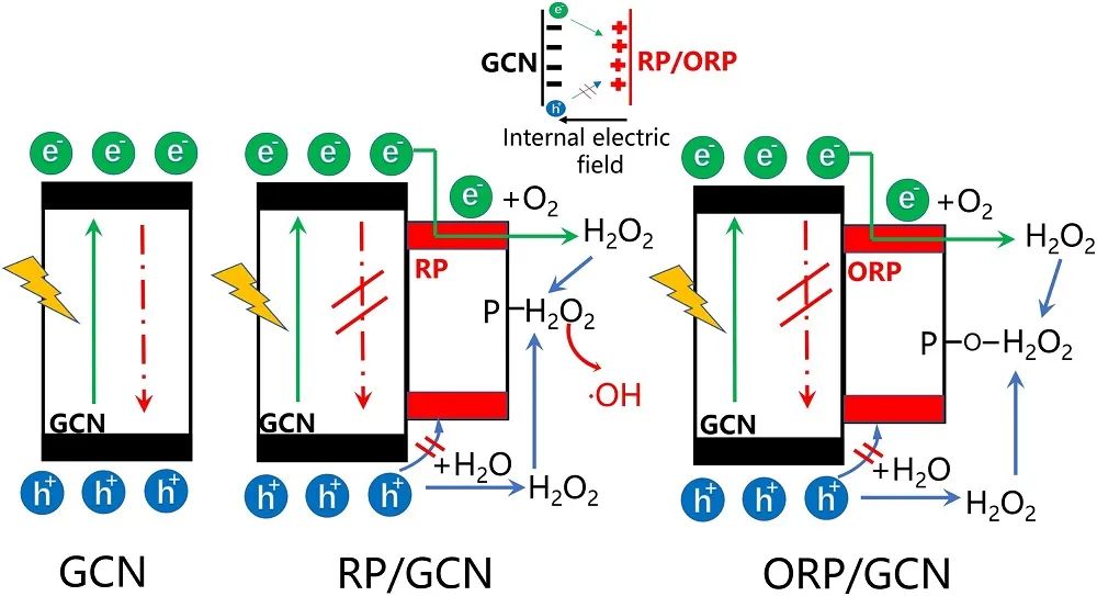 龙明策Appl. Catal. B.：提高25倍以上！ORP/GCN高效光催化氧气和纯水制取H2O2