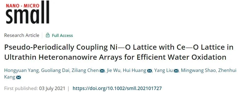 催化日报：AM/AFM/Small/ACS Nano/Chem. Eng. J.等最新催化成果