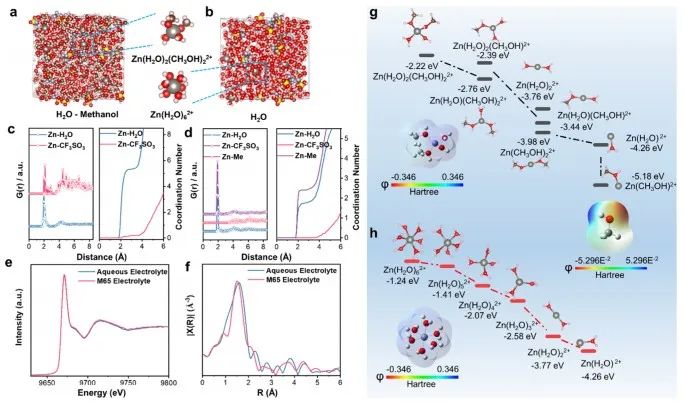 JACS：“锌”策略！牺牲溶剂化鞘改变溶剂化结构助力水系锌离子电池实用化