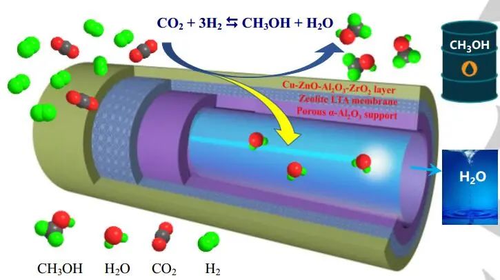 Angew：100%选择性！沸石型膜反应器助力高选择性催化CO2转化为甲醇