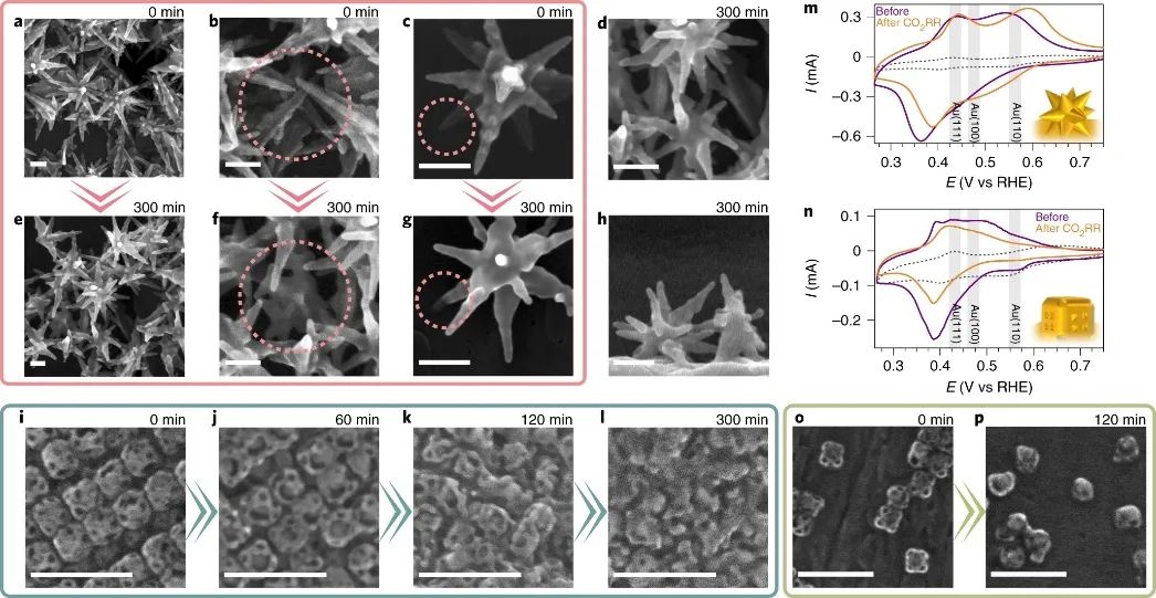 最新Nature Catalysis：探究电催化剂的结构转变