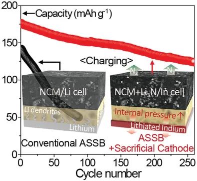 韩国电子技术研究所AFM: 牺牲正极实现无锂铟层全固态电池的稳定循环